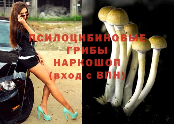 СК Богородицк