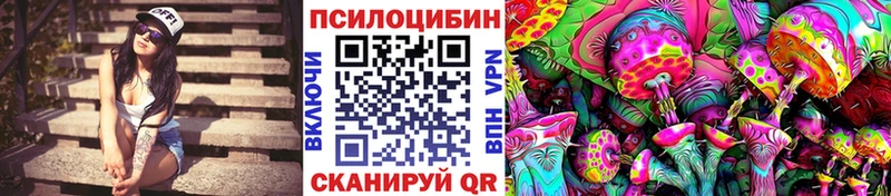 Галлюциногенные грибы Psilocybine cubensis Кропоткин